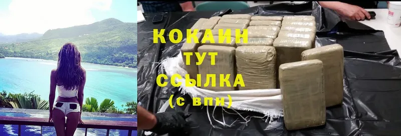 Cocaine FishScale  Удомля 